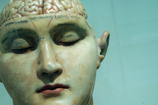 Confidence Is Not Inherent - The Chimp Brain vs. The Human Brain